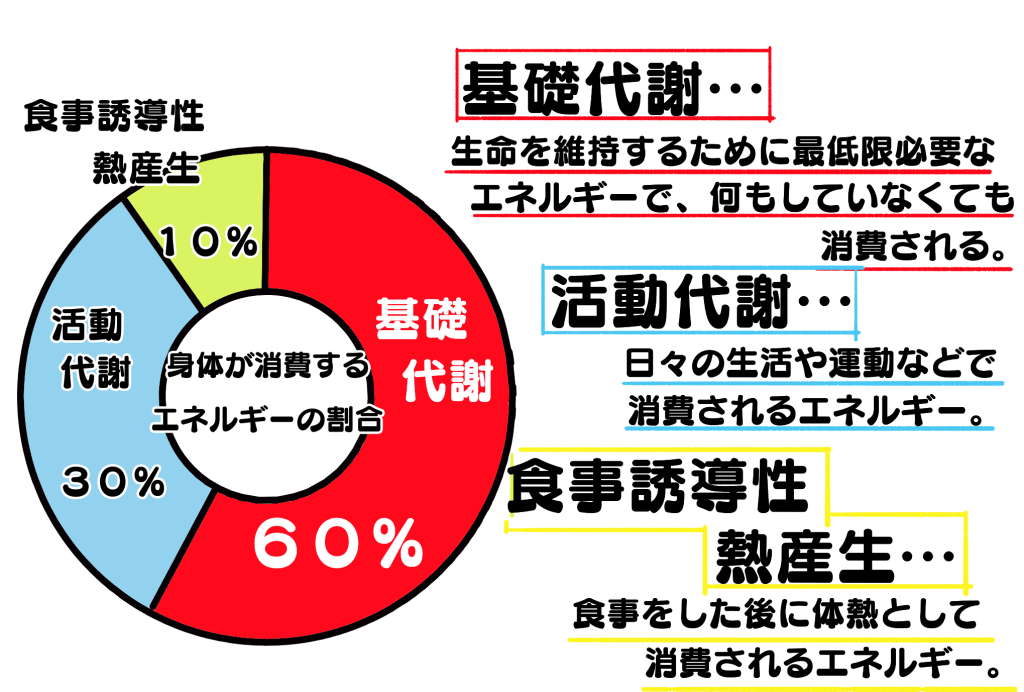 代謝の種類